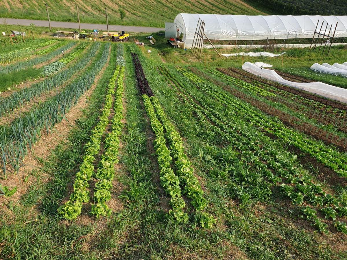 Herzhof Lampert Riegersburg Esterno foto